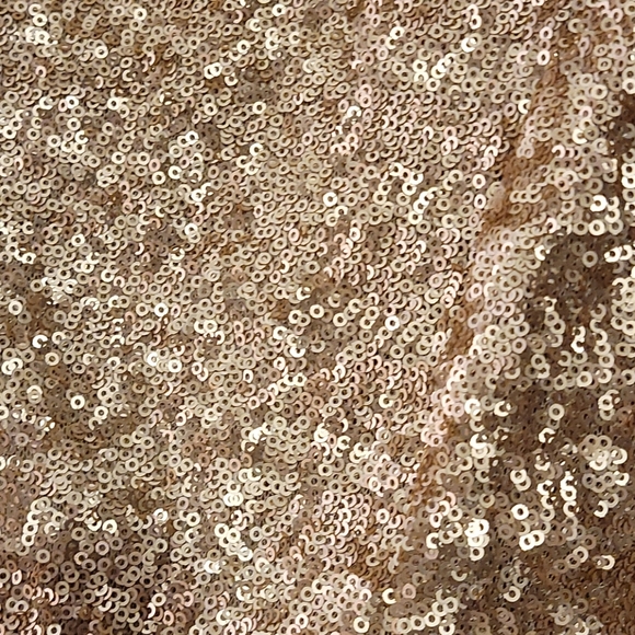 NWT Gold Sequin Tulle Dress - Picture 3 of 7